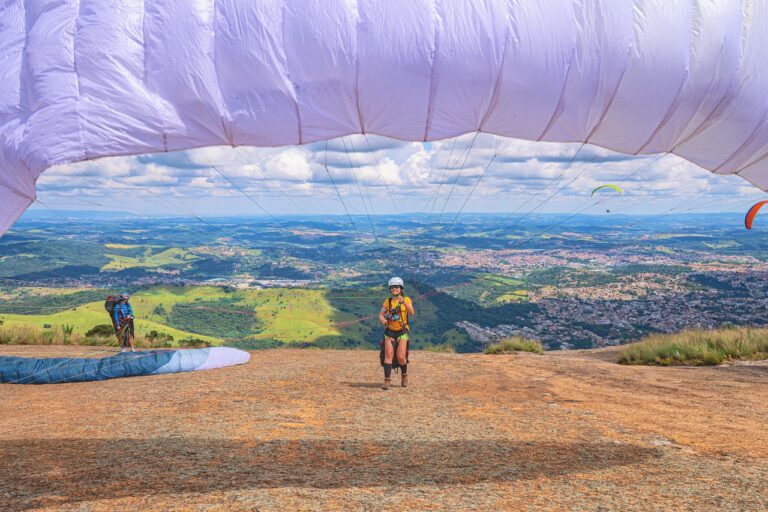 Investigating the Economics of Cricket Ground Development