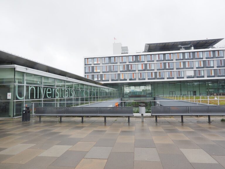 Impact of Chronic Stress on Neurological Health